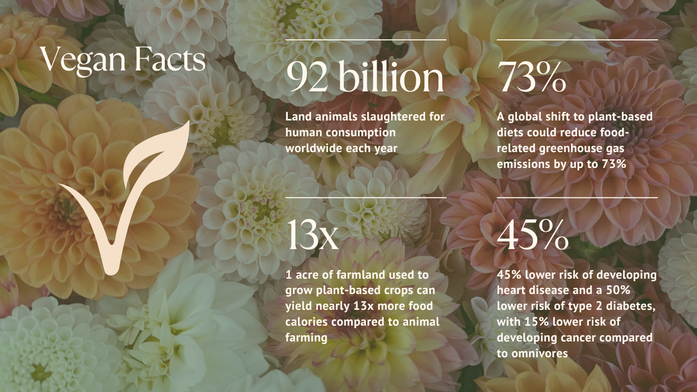 Published Ben The Vegan Farmer Website